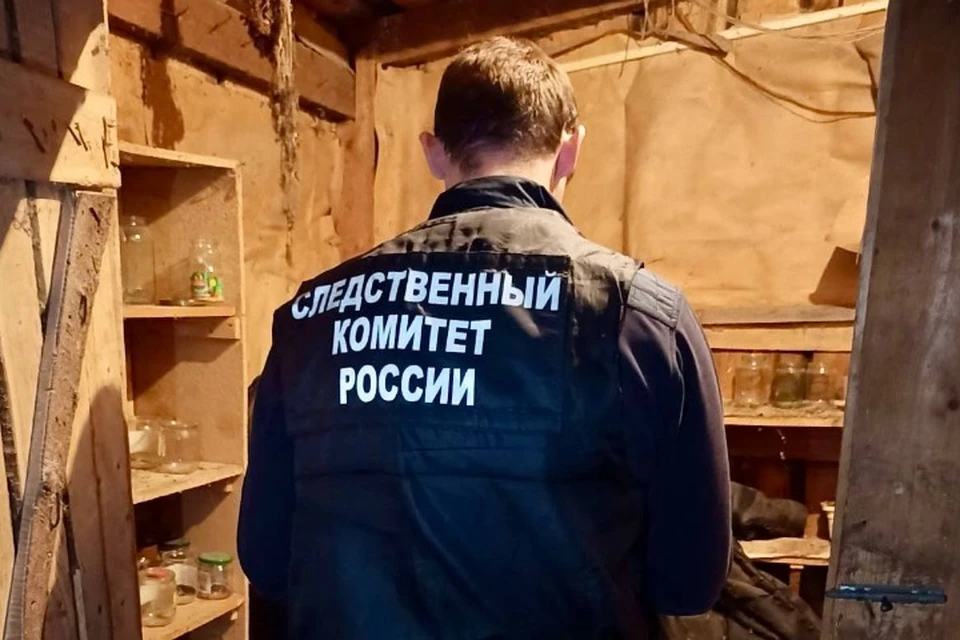 Подозреваемый ранее уже был судим за убийство. Фото: СУ СК РФ по Удмуртии