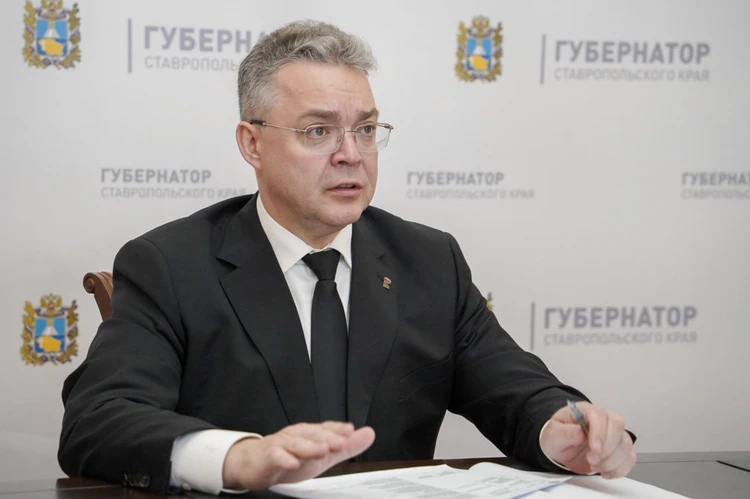 Губернатор Ставрополья поручил проконтролировать подачу электроэнергии жителям