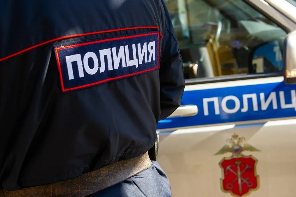 Крупный канал нелегальной миграции ликвидировали в Ленобласти.
