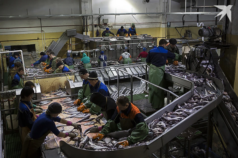 За контролем качества своей продукции плохо следил предприниматель из Мурманской области.