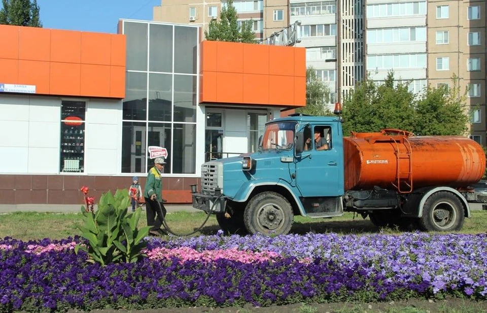 Жара спала в Ульяновске, однако деревья в городе еще нуждаются в дополнительном поливе. ФОТО: тг-канал Центра по благоустройству и озеленению Ульяновска