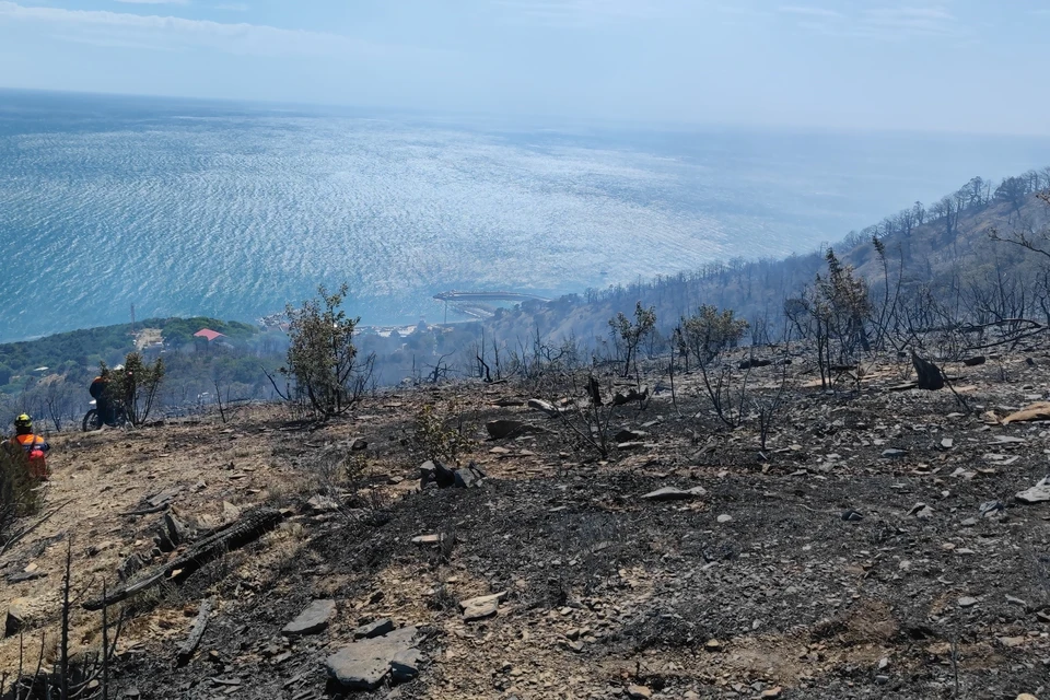 Огнем охватило 62 га леса Фото: Пауль ГУРИН
