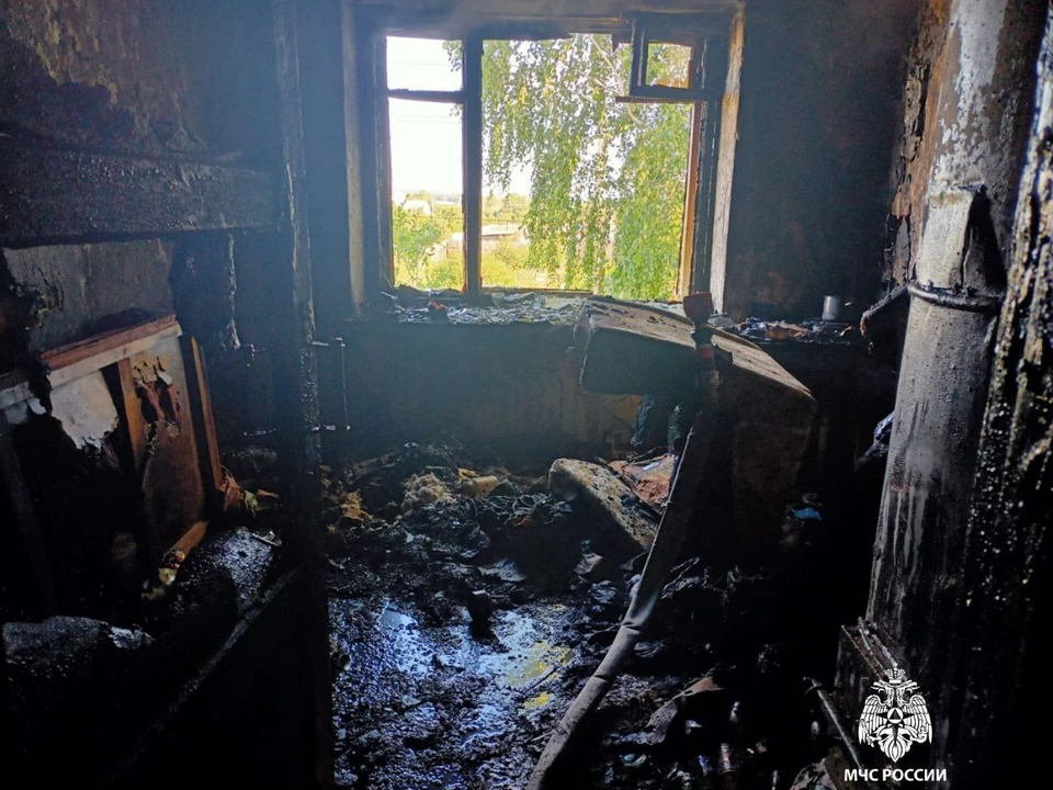 В Ульяновской области из дома во время пожара успели эвакуироваться восемь человек. Фото МЧС России по Ульяновской области