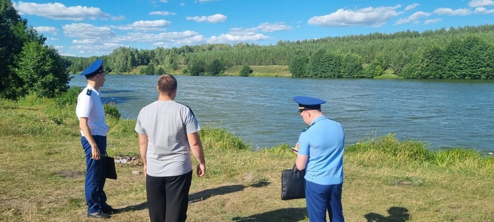 Жители Ульяновской области пожаловались, что в Вешкаймском районе массово гибнет рыба. Фото прокуратура УО