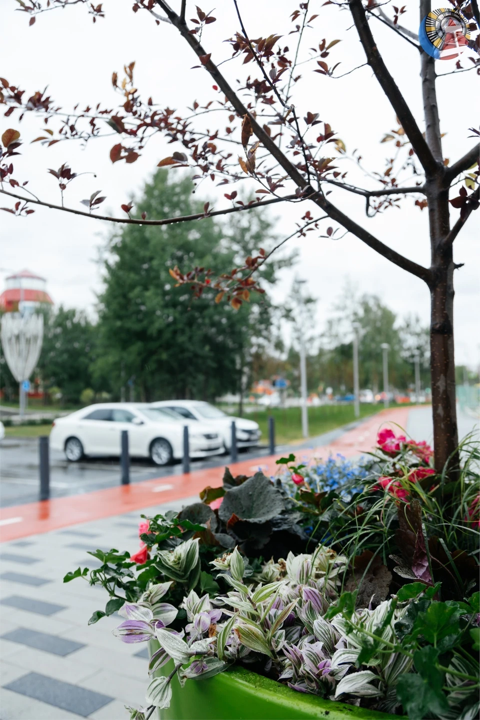 Фото: администрация Ноябрьска
