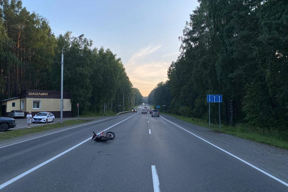 Фото: Госавтоинспекция Красноярского края