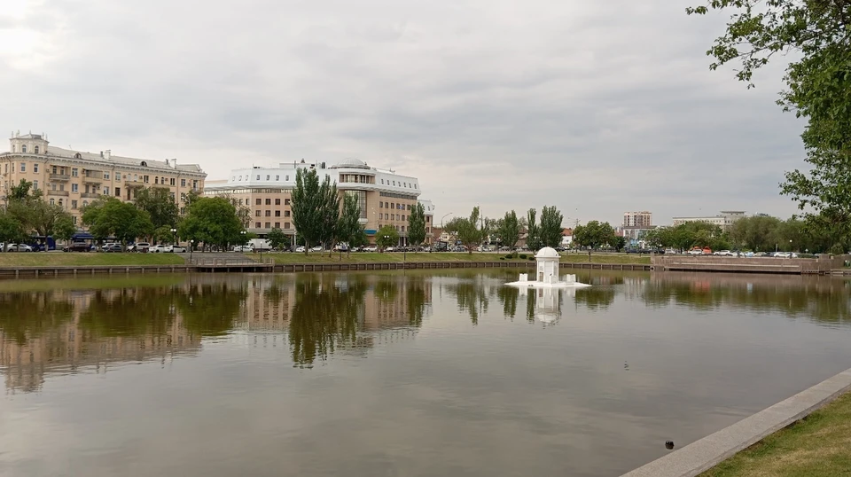 В начале лета на озеро поселили 5 новых лебедей