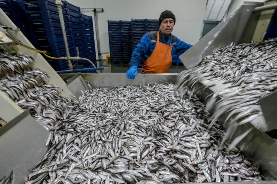 Отдел пограничного ветеринарного контроля проверил 197 партий экспортной продукции.