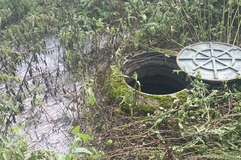 Отходы попадали в канализационный колодец. Фото: Минэкологии Татарстана