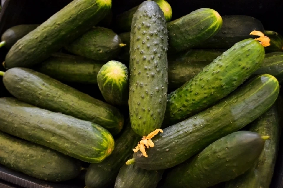 Стало известно, как изменились цены на продукты в Коми.