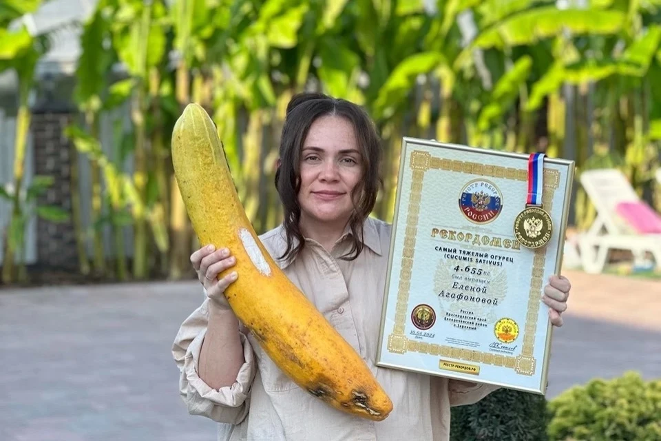 Дачница на Кубани вырастила пятикилограммовый огурец и тыкву в 1,6 метра