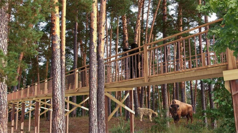 Проект парка семейного и активного отдыха «Зубропарк»