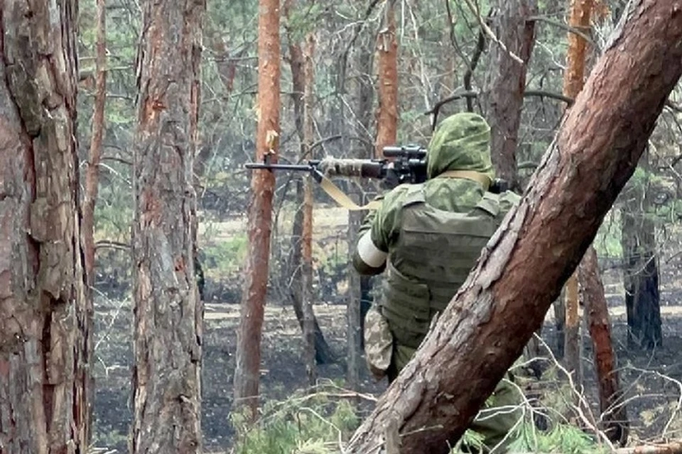 Российские войска закрепились у карловского водохранилища в ДНР (архивное фото)