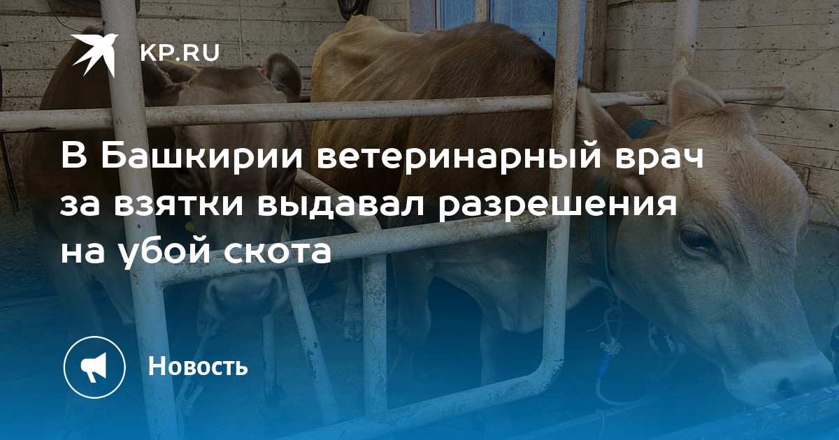 269 ветеринарные правила убоя