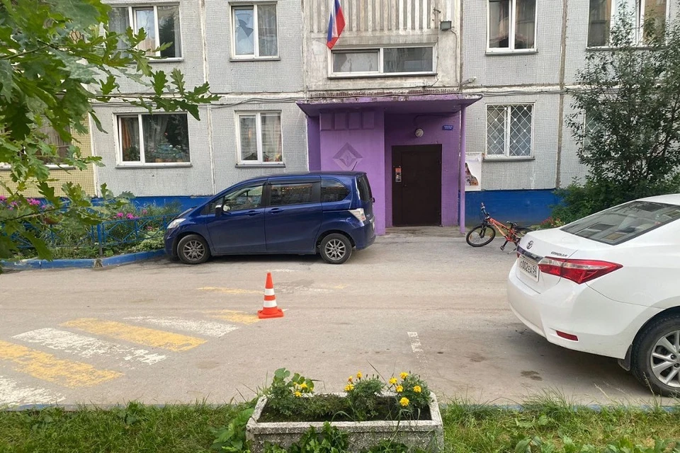 В Новосибирске водитель иномарки сбил 8-летнего мальчика на велосипеде. Фото: Госавтоинспекция по Новосибирской области