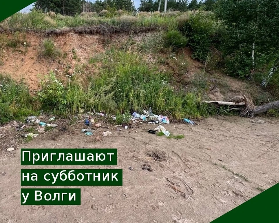 17 августа пройдет уборка на берегу Волги в поселке Рыбацкий. Фото минприроды УО