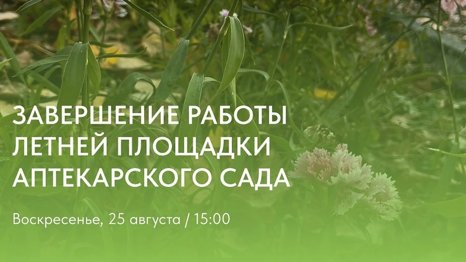 Фото: https://vk.com/aptekarskiy_sad