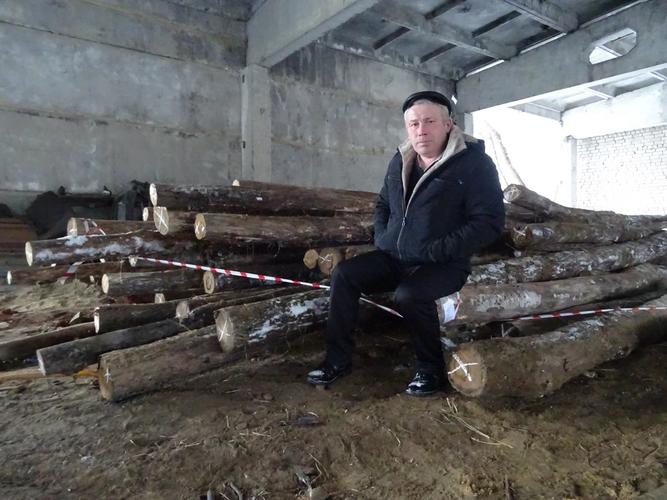 66-летний мужчина из Ульяновской области решил срубить на дрова две березы