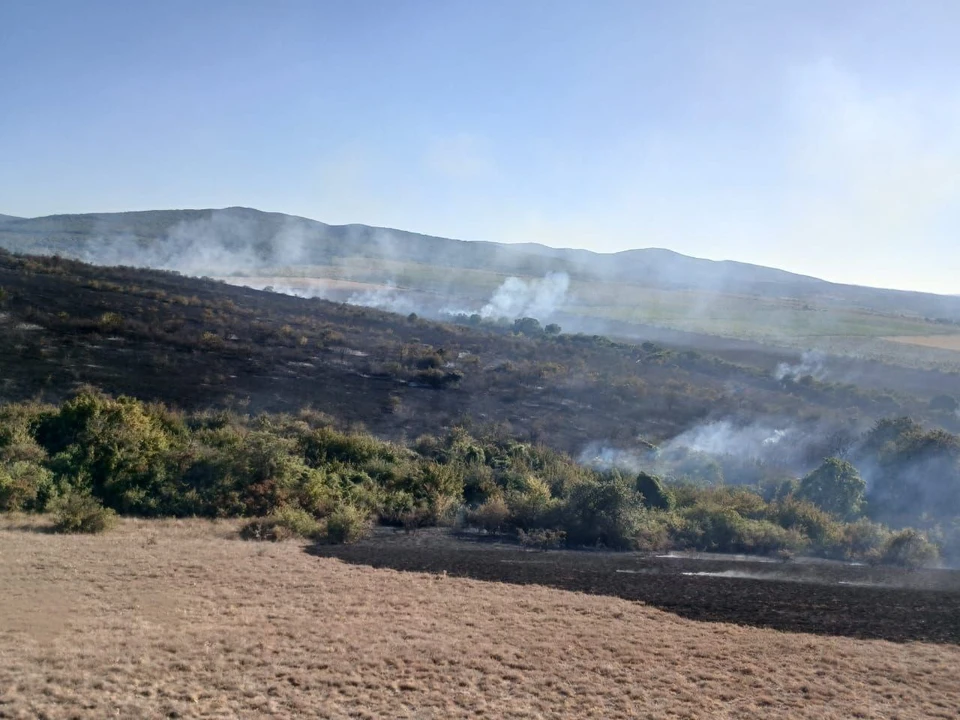 В Кировском районе Крыма сотрудники МЧС потушили крупный пожар на площади 20 гектаров. Фото: МЧС Крыма