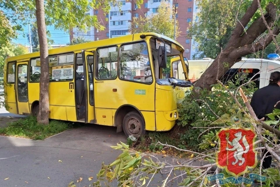 Пассажирский автобус врезался в дерево в Екатеринбурге, шесть человек пострадали Фото: ГИБДД Свердловской области