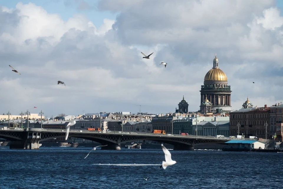 Уровень безработицы в Петербурге к началу июля составил 1,5 процента.