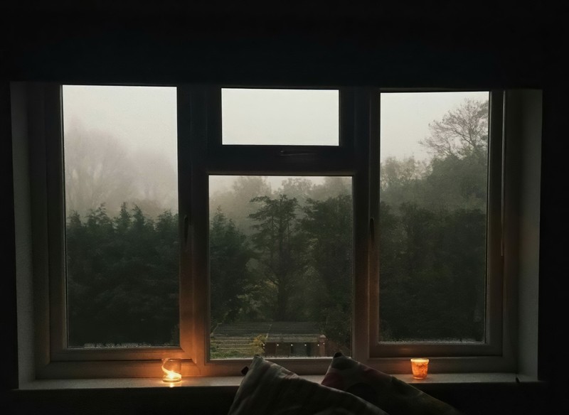Вид печальный из окна. Фото: соцсети