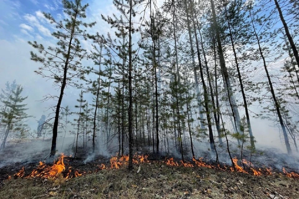 Продолжают действовать четыре крупных пожара