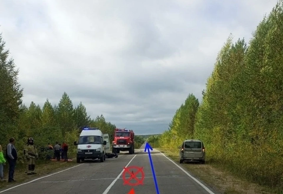 Фото: Госавтоинспекция Коми