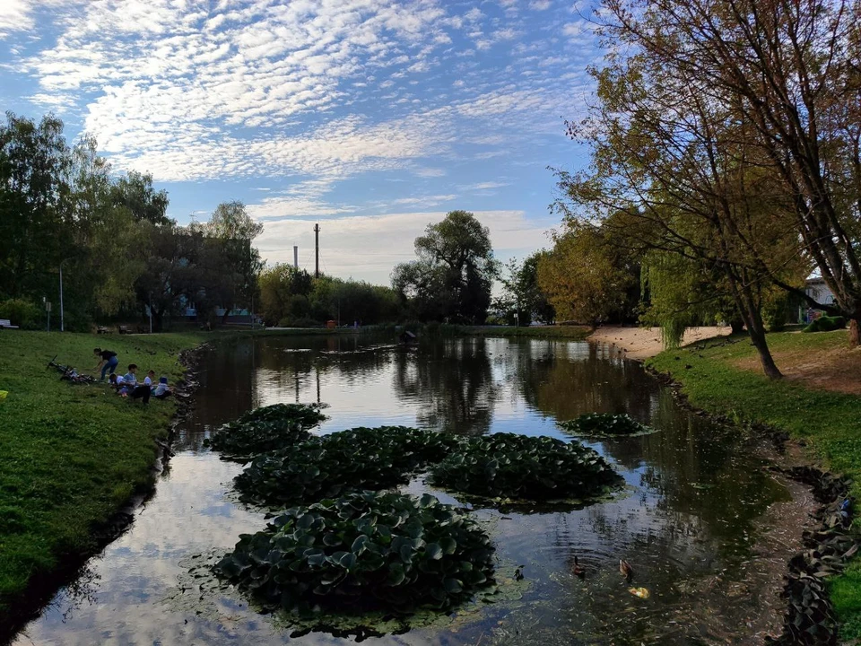 В Калуге сохранится теплая погода.
