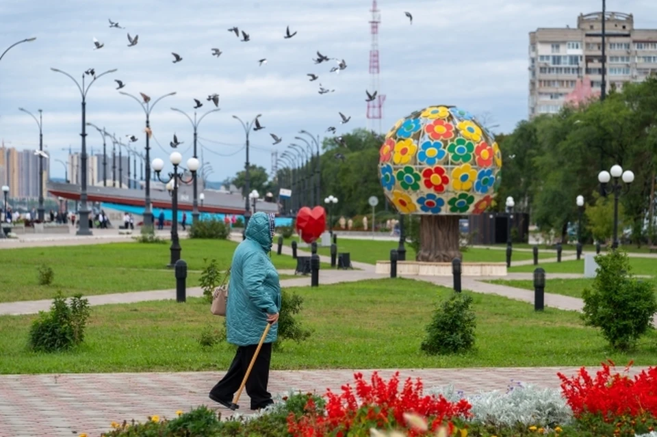 Одна из пострадавших бабушек скончалась от полученных травм.