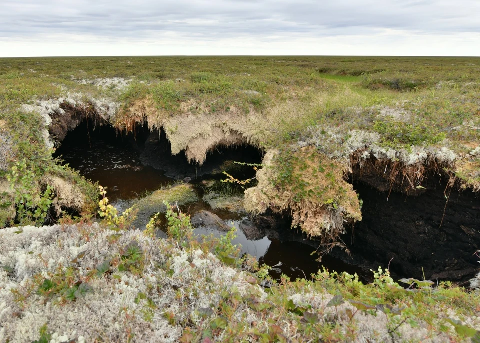 Фото: пресс-служба ТГУ