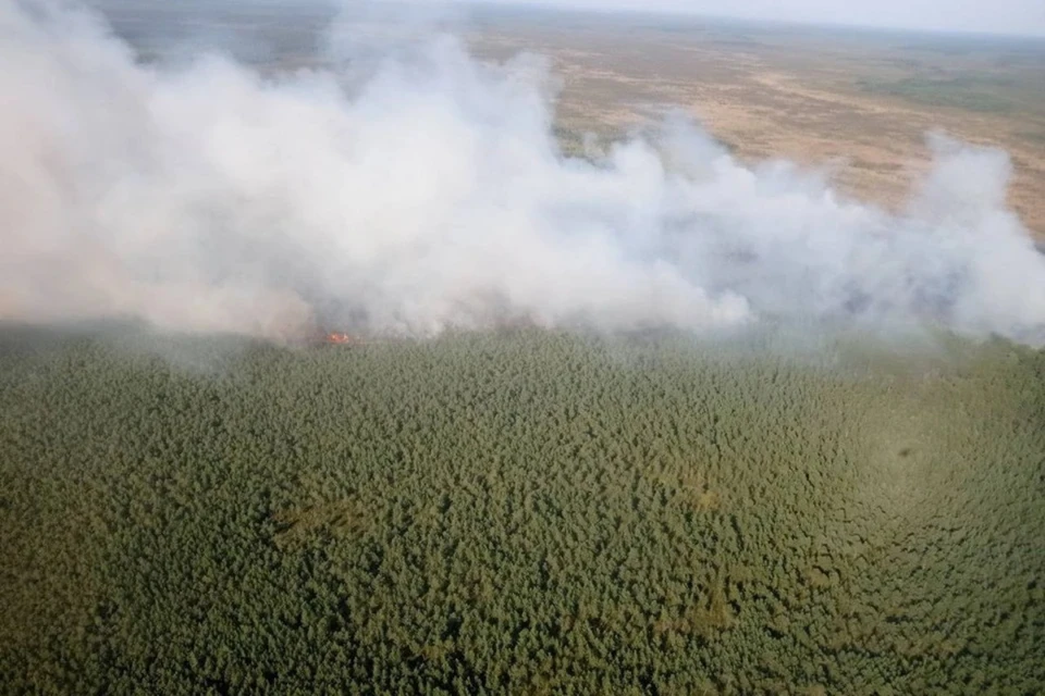 Крупный лесной пожар на Ольманских болотах под Столином потушили. Фото: телеграм-канал Минлесхоза Беларуси