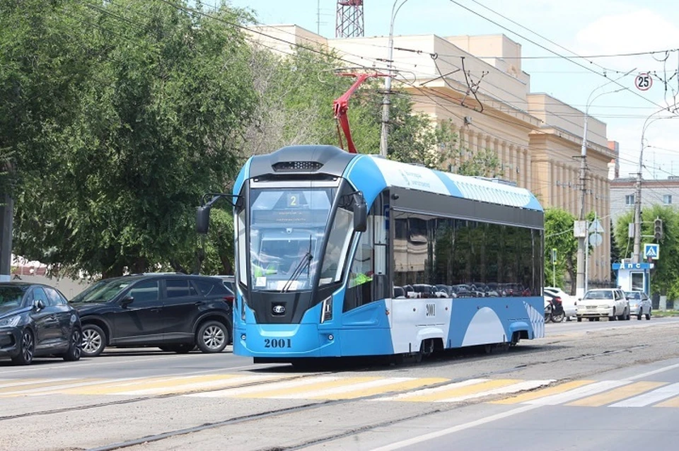 "Львята" в Волгограде.