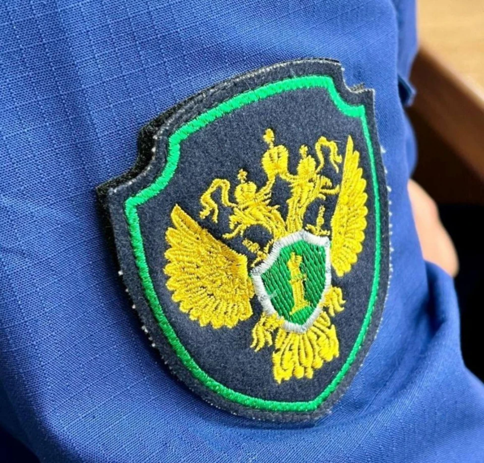 Фото: пресс-служба прокуратуры Костромской области
