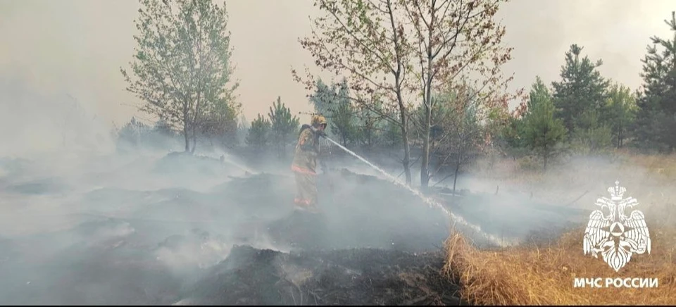 Фото ГУ МЧС по области