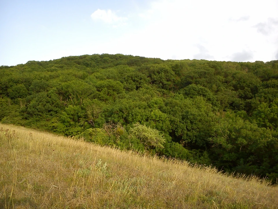Ограничения в крымских заповедниках вводили из-за высокой пожароопасности
