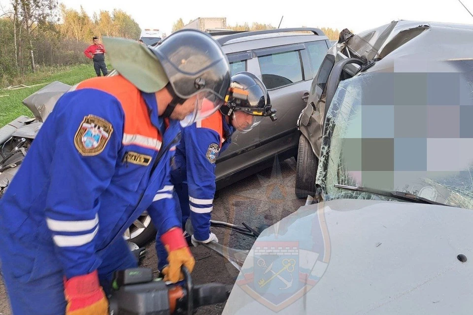 В ДТП в Волховском районе погибла женщина. Фото: Аварийно-спасательная служба Ленобласти