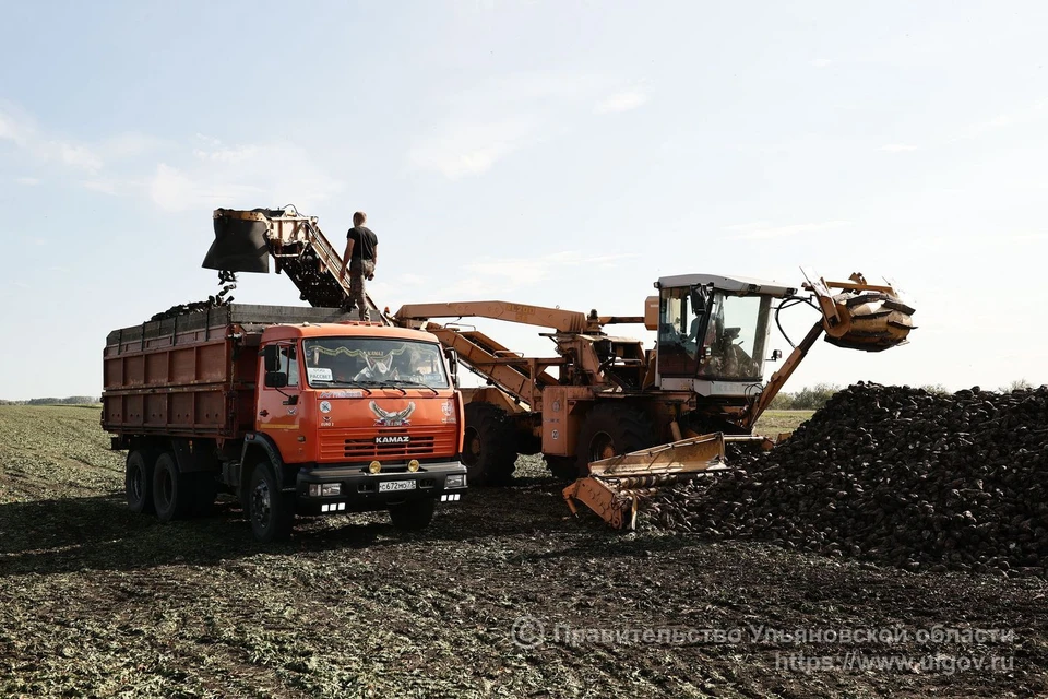 Фото: ulgov.ru