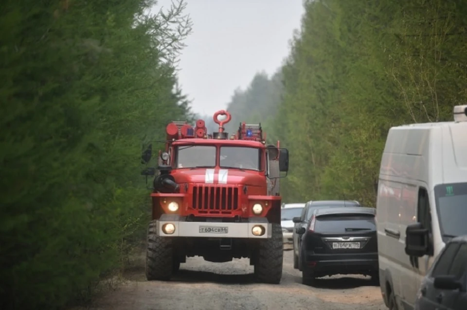 Спасателям ЛНР в ликвидации возгораний поможет третья группа пожарных