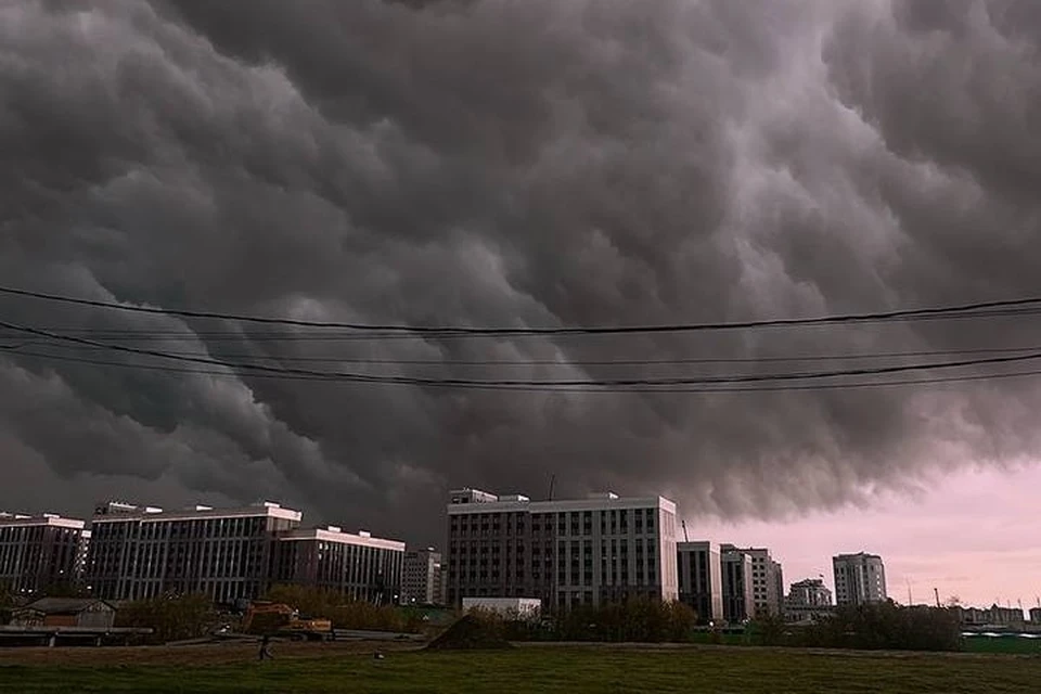 Фото: Василий Паршаков