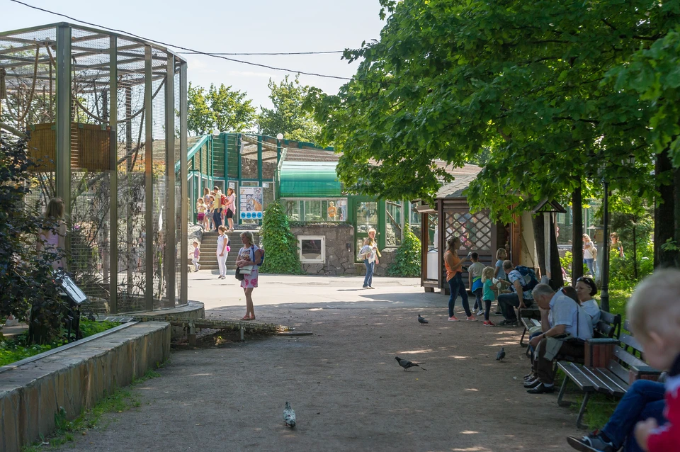 Ленинградский зоопарк завершит акцию «Дары осени» в День урожая.