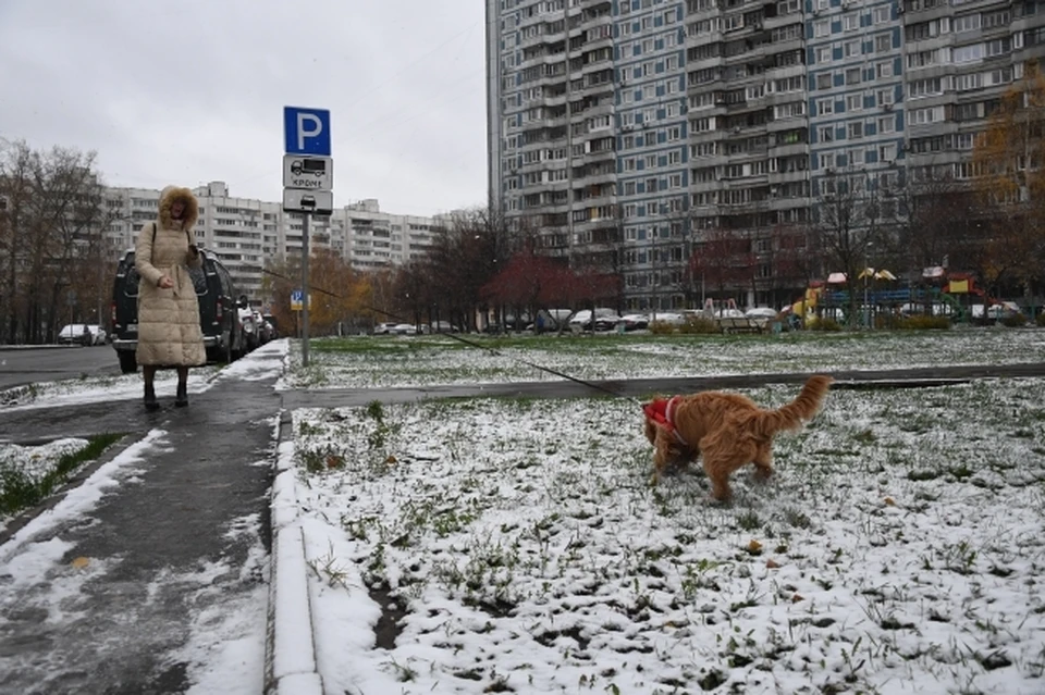 Первый снег прогнозируют в Нижнем Новгороде уже 7 октября