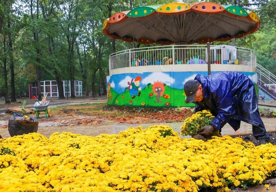 Фото: «Парки столицы»