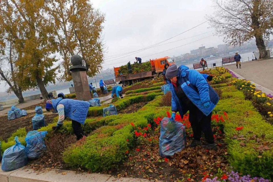 Цветочные клумбы убирают в Иркутске перед наступлением холодов.