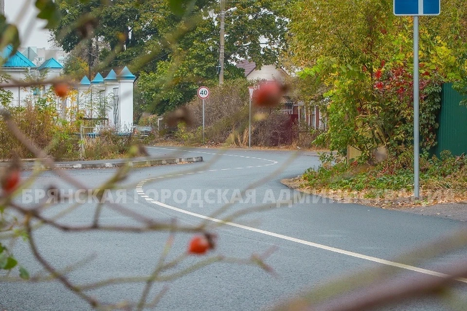 Фото: пресс-служба Брянской городской администрации.