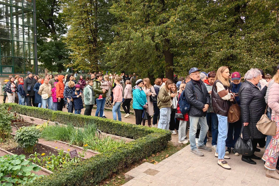 Вот лишь малая часть очереди, которая выстроилась к теплице с тыковкой. Фото: Аптекарский огород