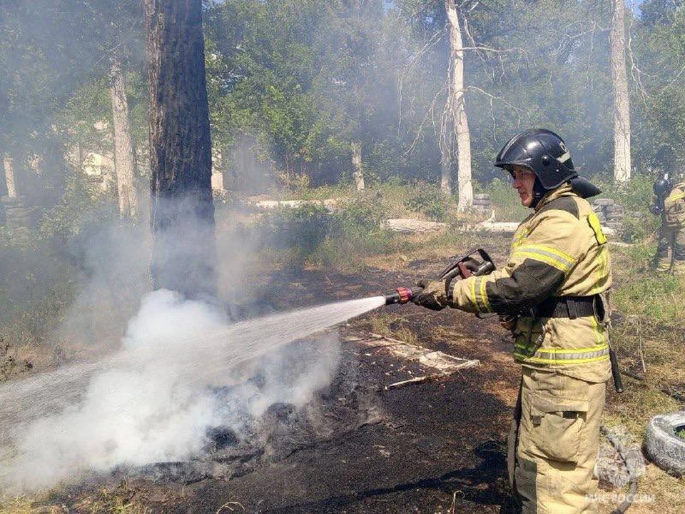 Пожарные продолжают работать в 44-м квартале Рачейского лесничества, где 28 сентября вспыхнул крупный пожар