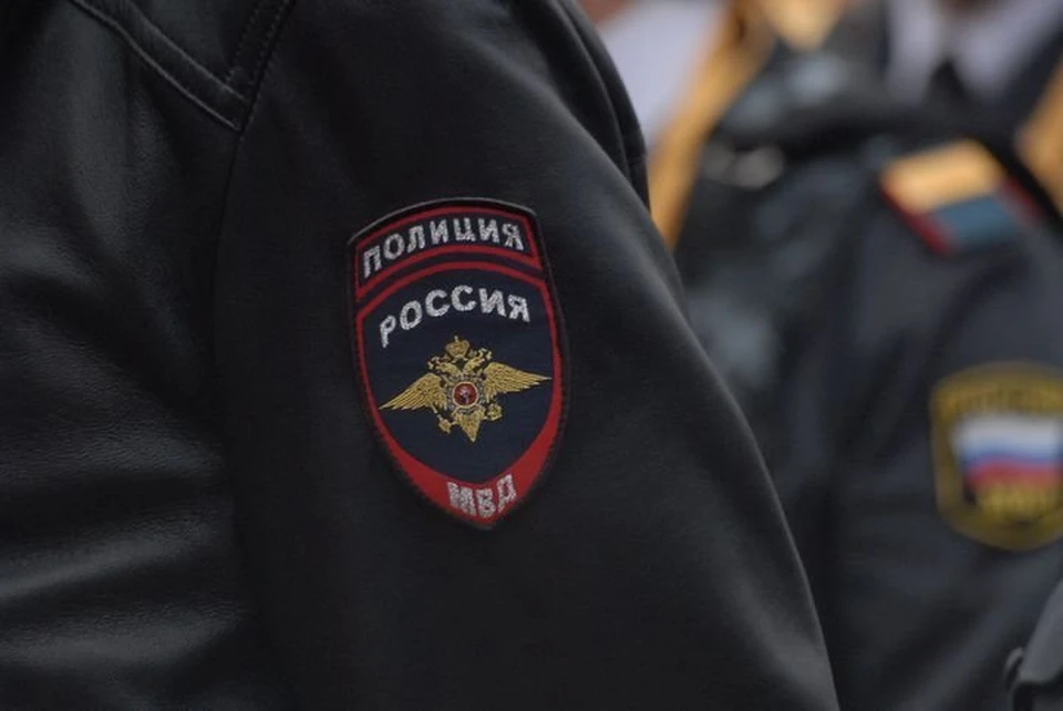 В Привокзальном округе Тулы вор-рецидивист украл из торгового центра утюг