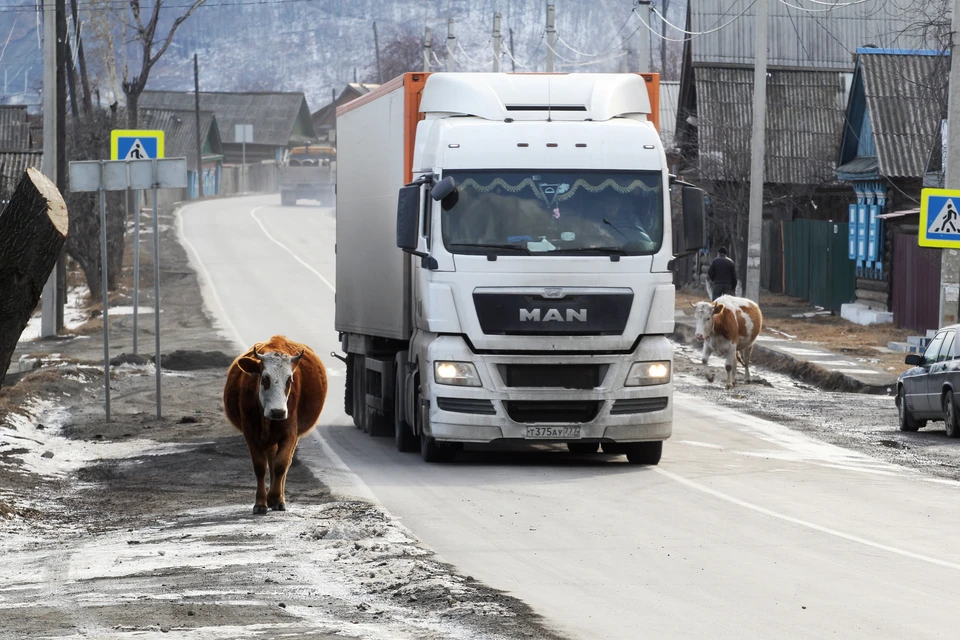 Водителя категории Е на зарплату от 182 тысяч рублей ищут в Нижнем Новгороде.
