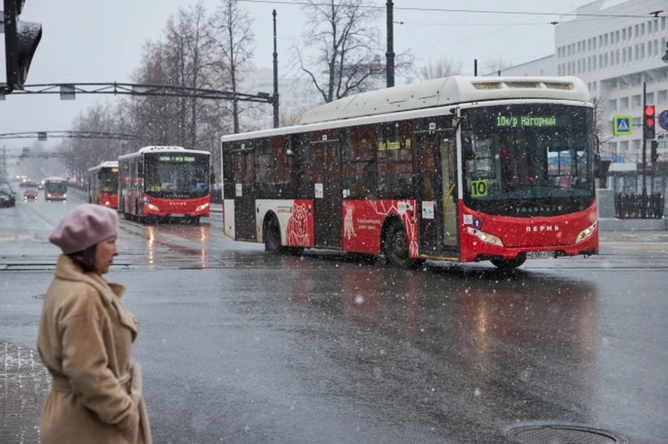 Пермский край окутает 10-сантиметровый снежный покров